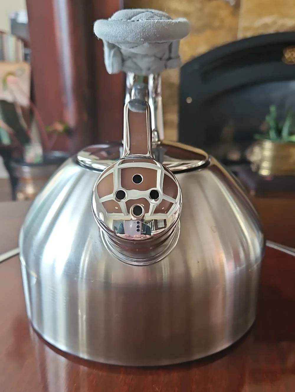 Chantal Classic Stainless Steel Tea Kettle with Hohner Harmonica Whistle & Mitt